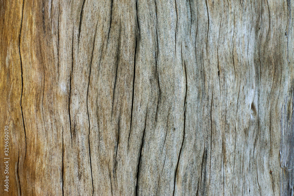 madeira textura