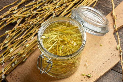 Preparation of herbal tincture from white willow bark in a jar