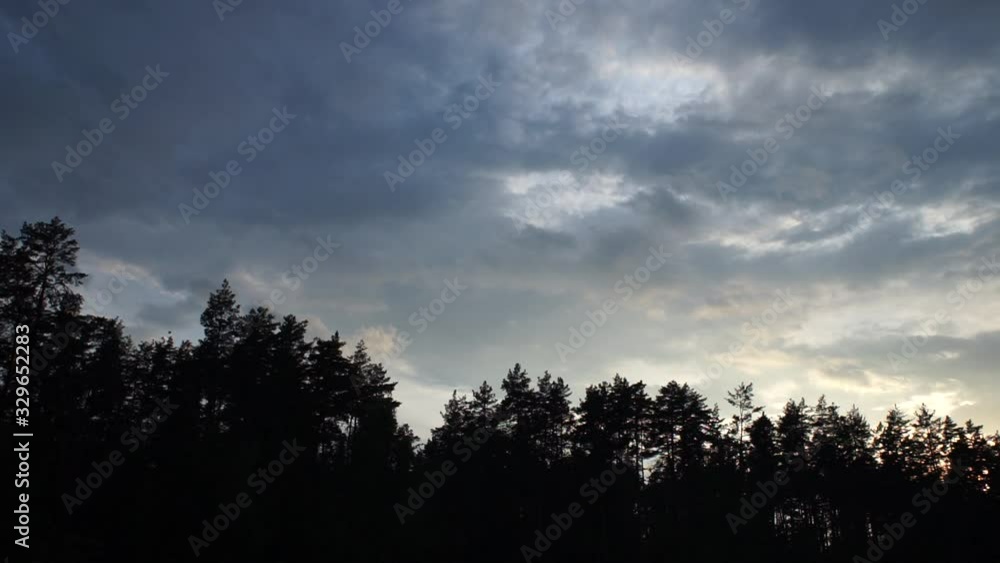 evening in the forest with clouds evening in the forest with clouds