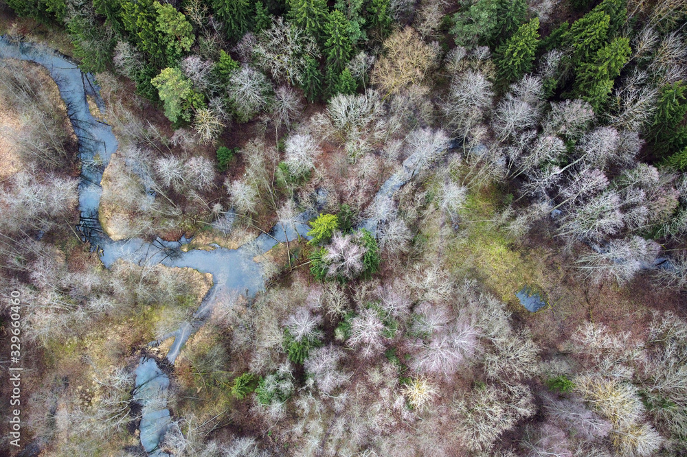 Forest river, beaver dam, treetops, aerial view. European nature