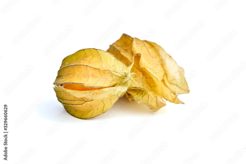 Physalis peruviana berries (ground cherries, Cape gooseberry, poha berries) isolated on a white background Physalis peruviana berries (ground cherries, Cape gooseberry, poha berries) isolated on a white background