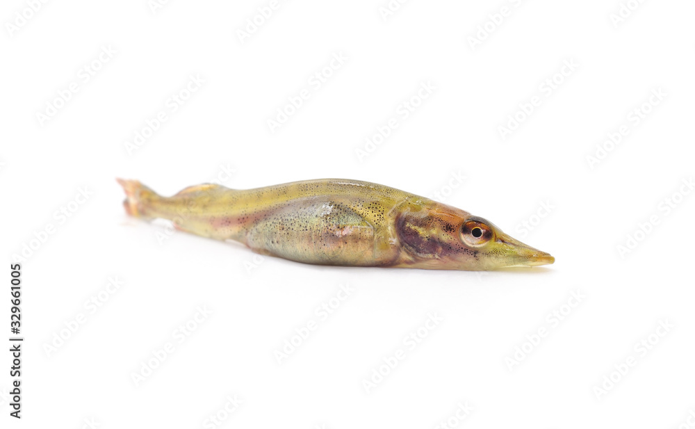 One small pike. One small pike.