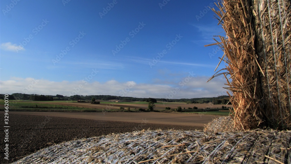 Lato, zborze, siano, plony, łąka, pole, snopki, niebo, natura, pejzarz, rzniwa, kr