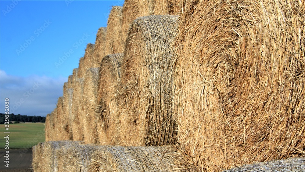 Lato, zborze, siano, plony, łąka, pole, snopki, niebo, natura, pejzarz, rzniwa, kr