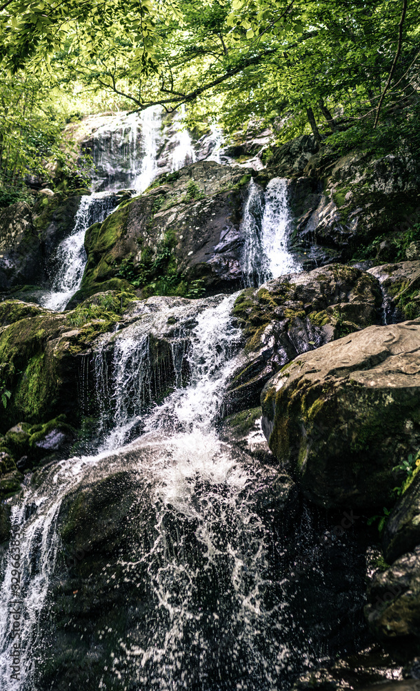 Panorama view of small waterfall situated in nature, water faling over rock