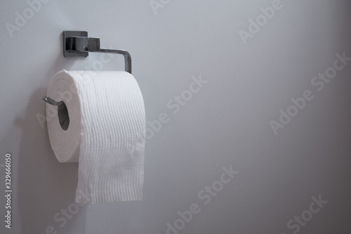 Принти на полотні White paper toilet roll on chrome holder against neutral white wall