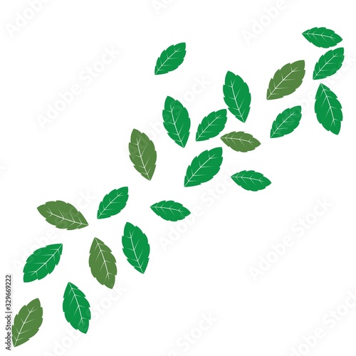 mint leaf illustration logo vector design