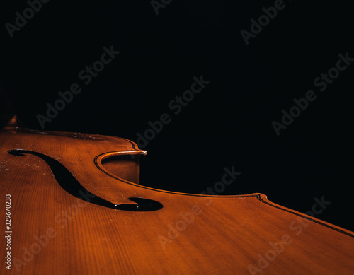 Double bass body with no background