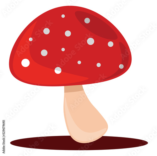 Forest mushroom, illustration, vector on white background.