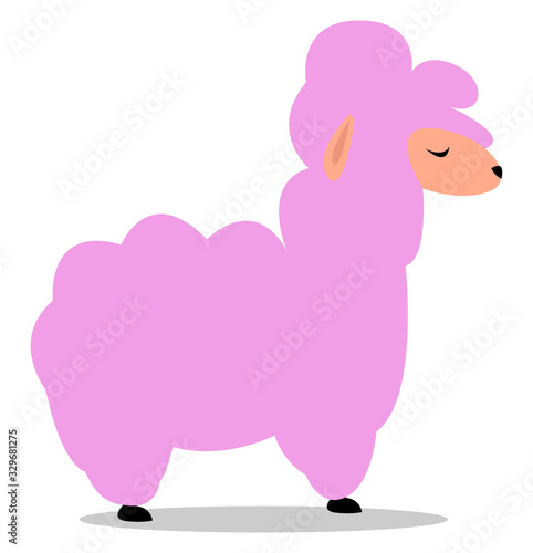 Baby pink llama, illustration, vector on white background.