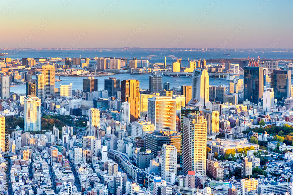 Breathtaking Skyline of Tokyo City at Blue Hour in Japan with a Line of Skyscrapers And Tokyo Bay In Background.