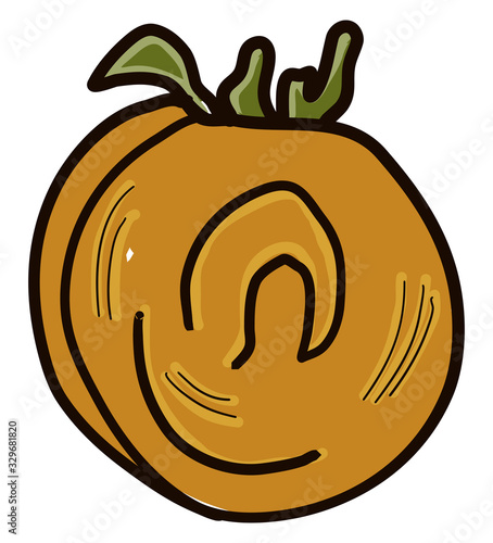 Golden tomato, illustration, vector on white background.
