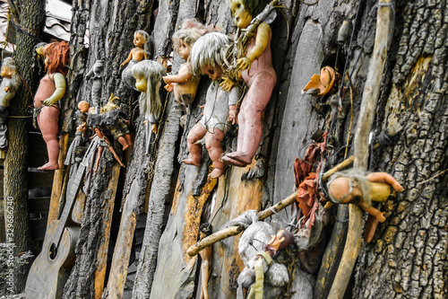 Fotografie, Obraz Creepy old dolls in the abandoned Island of the Dolls, Xochimilco, Mexico City