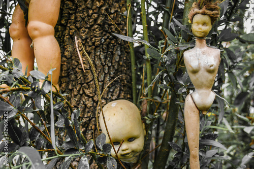Creepy old dolls in the abandoned Island of the Dolls, Xochimilco, Mexico City
