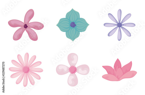 Fototapeta Naklejka Na Ścianę i Meble -  beautiful flowers icon set, colorful design