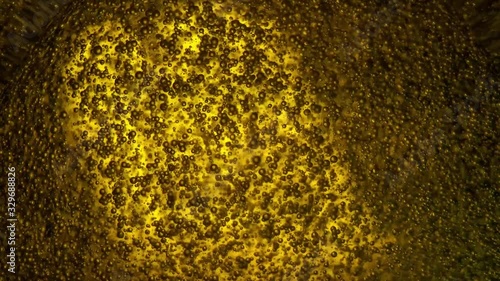 Macro footage of floating bubbles moving up. Foaming liquid close up