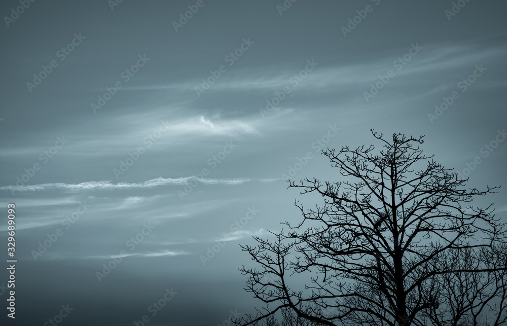 Silhouette dead tree on dark dramatic sky and white clouds background for death and peace. Halloween day background. Despair and hopeless concept. Sad of nature. Death and sad emotion background. Silhouette dead tree on dark dramatic sky and white clouds background for death and peace. Halloween day background. Despair and hopeless concept. Sad of nature. Death and sad emotion background.