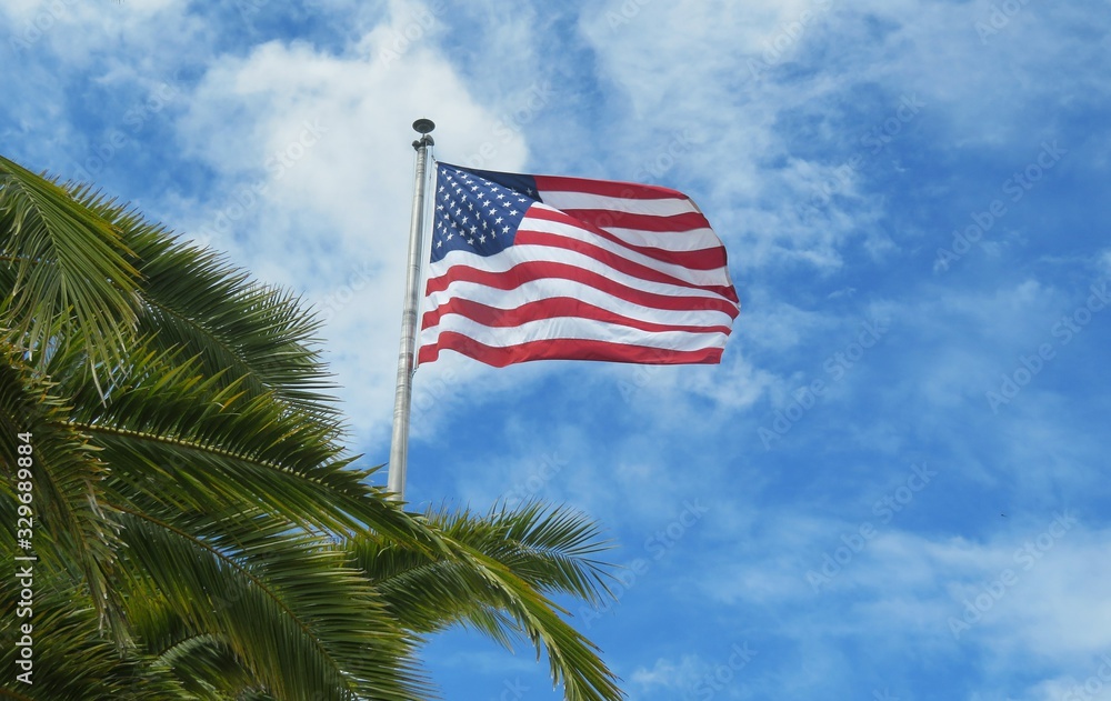American flag on blue sky and palm branches background in Florida nature