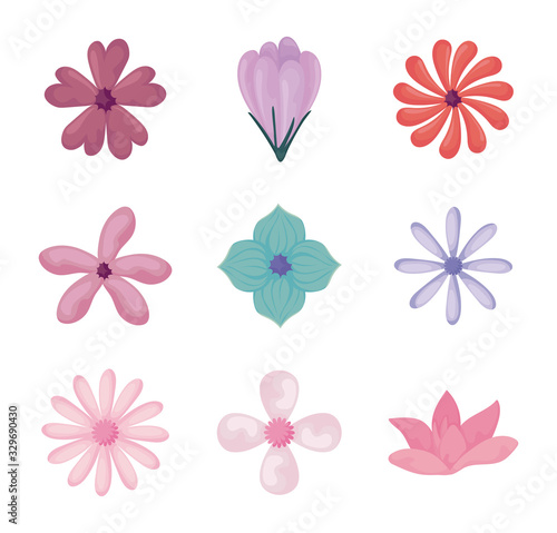 beautiful and colorful flowers icon set