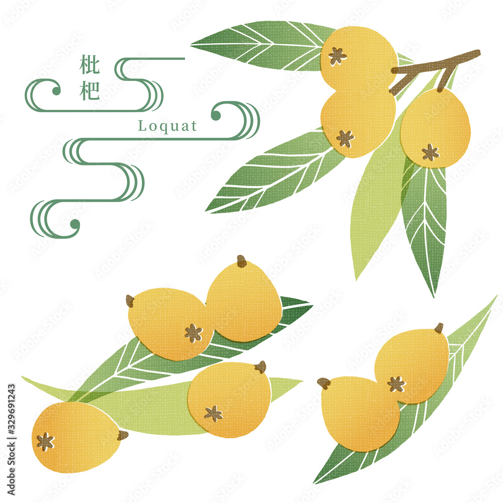 びわの手ぬぐい風イラスト Stock Vector Adobe Stock びわの手ぬぐい風イラスト Stock Vector Adobe Stock