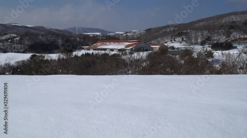 Wallpaper Mural trees and clouds on the clean snow-covered farm slightly move by the strong wind Torontodigital.ca