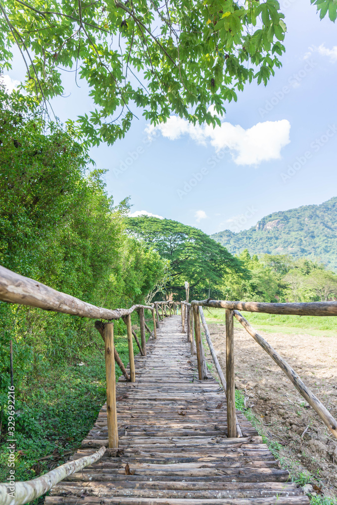 Wooden walkway in the forest and blue sky with clouds