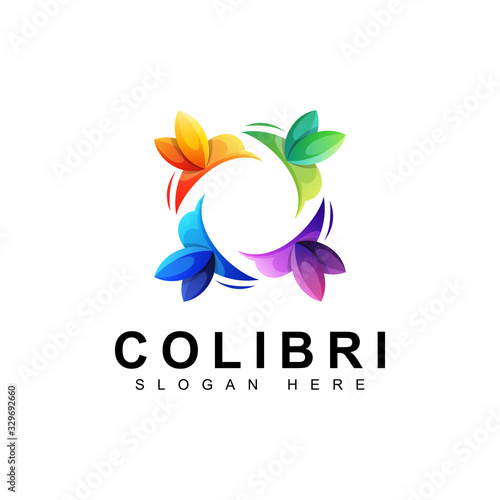 colorful bird colibri logo, hummingbird  logo design vector template