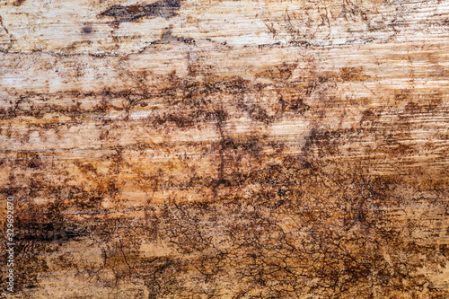 Gritty Wood Texture Rustic Wood Background