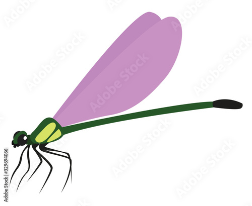 Flying dragonfly, illustration, vector on white background.
