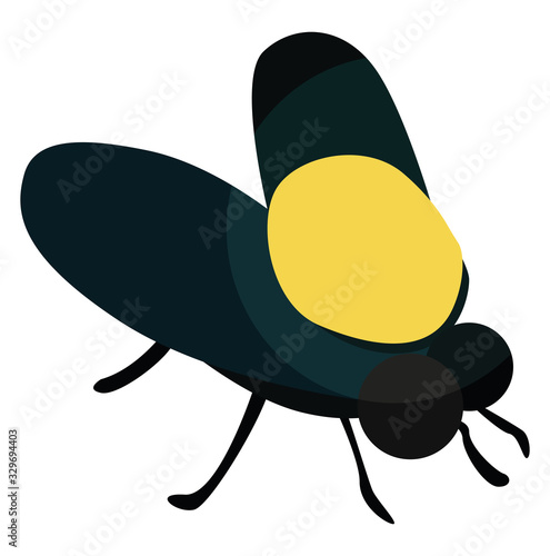 Flying fly, illustration, vector on white background.