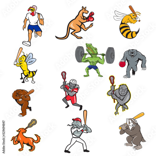 Set or collection of cartoon character mascot illustration of animals like turkey, kangaroo, wasp, bee, crocodile, alligator, bear, gorilla, badger, dog engage in sports full body isolated background.