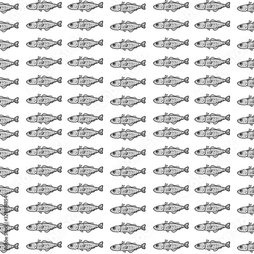 Hakes fish pattern, illustration, vector on white background.