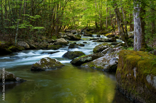 Fototapeta Naklejka Na Ścianę i Meble -  Morning light on the Middle Prong of the Little River, Great Smoky Mountains National Park, Tennessee.