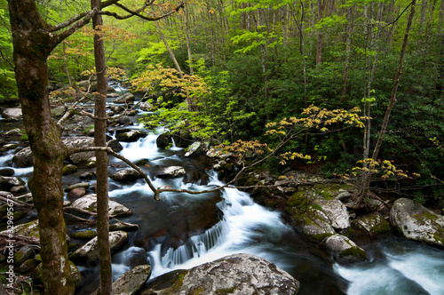 Morning light on the Middle Prong of the Little River, Great Smoky Mountains National Park, Tennessee. photo