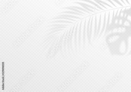 The transparent shadow overlay effect. Tropic leaf. Mockup with overlay a palm leaf shadow. Vector illustration