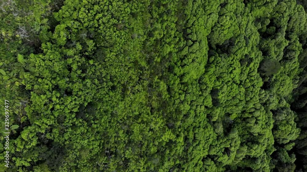 4K aerial birds eye view of the tree top forest in São Miguel island, Azores, Portugal. 4K aerial birds eye view of the tree top forest in São Miguel island, Azores, Portugal.
