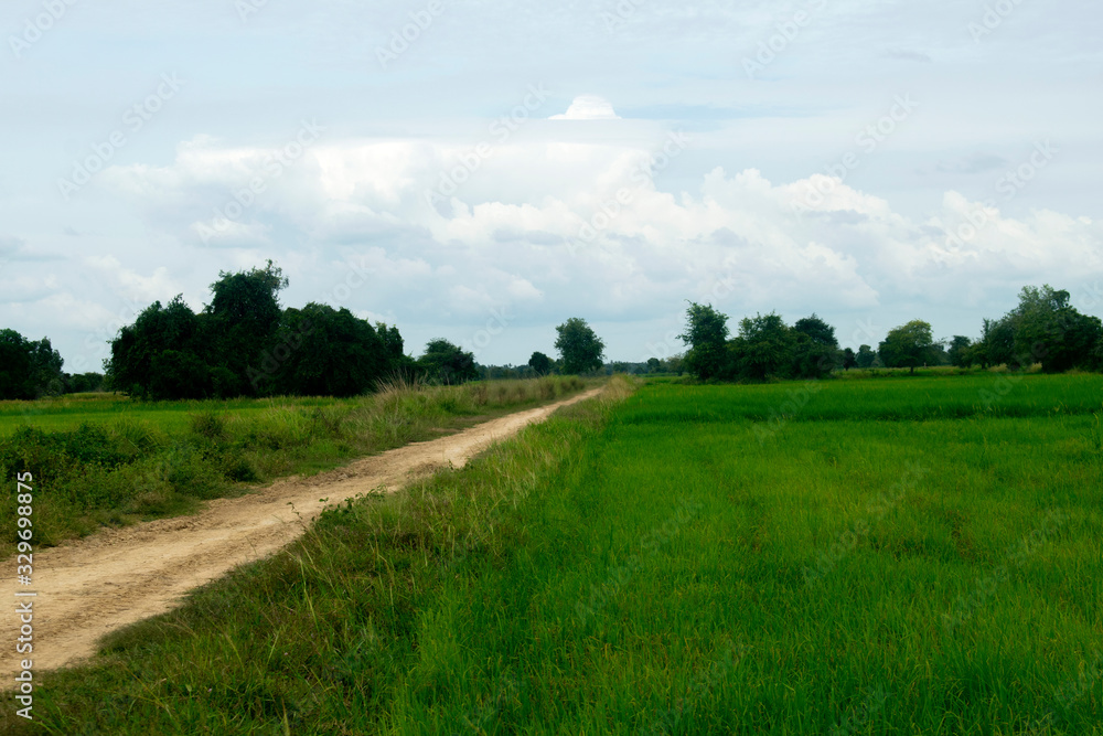 Phumĭ O Srâlau Cambodia - Rice Field Road