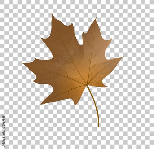 Autumn Maple Leaf. Cartoon of sickle vector icon for web design isolated on transparent background.