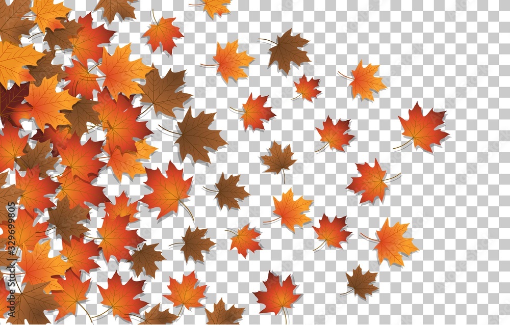 Autumn golden leaf frame template. Tree fallen autumn leaves isolated on white. October yellow foliage and autumnal nature leafage. Advertising autumn gold fall leaf with transparent background. Autumn golden leaf frame template. Tree fallen autumn leaves isolated on white. October yellow foliage and autumnal nature leafage. Advertising autumn gold fall leaf with transparent background.