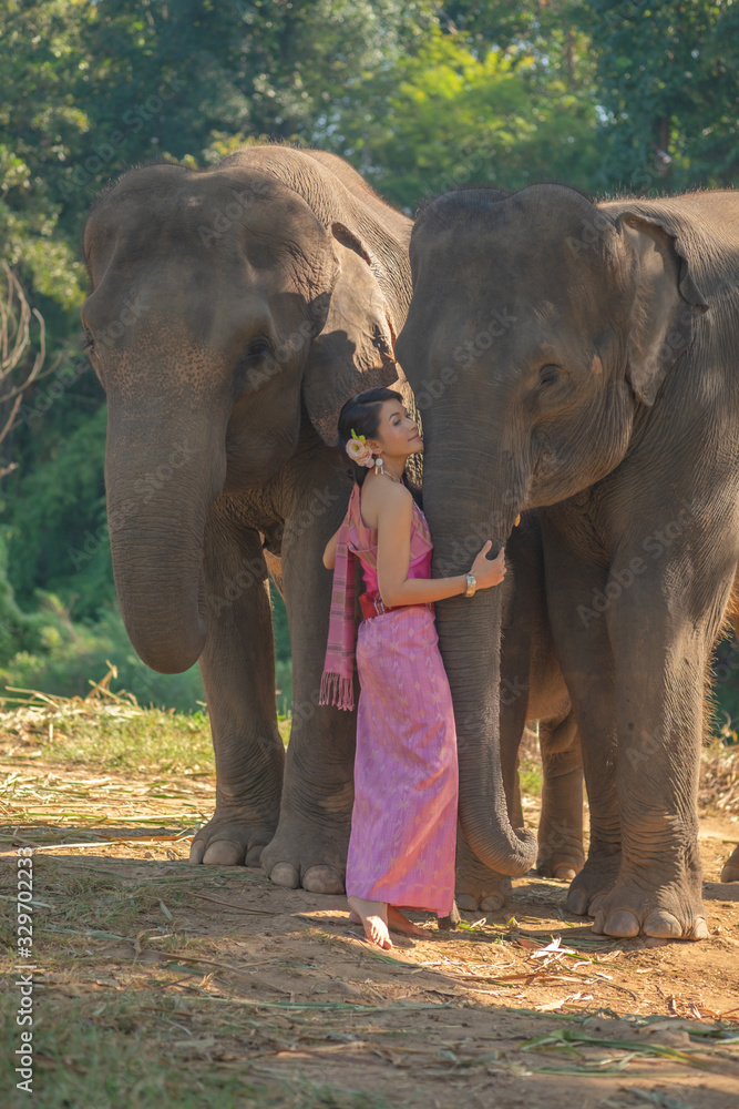 Obraz premium Beautiful thai women wearing traditional thai clothes standing on an elephant in nature park thailand, woman concept