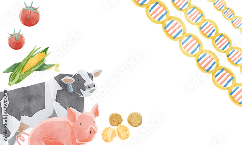 遺伝子組み換え食品イメージイラスト