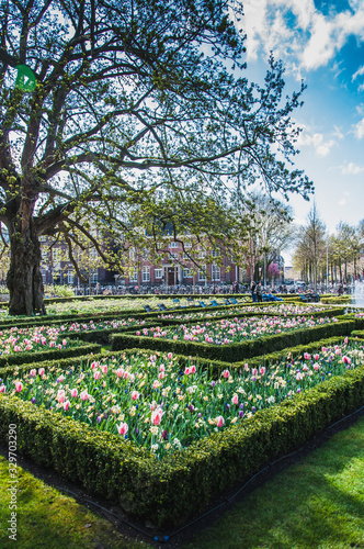 The Rijkmuseum and its gardens and its surroundings in Amsterdam