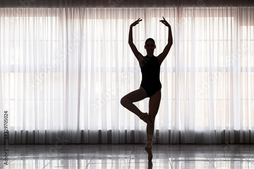 Silhouette of beautiful young ballerina in dance studio