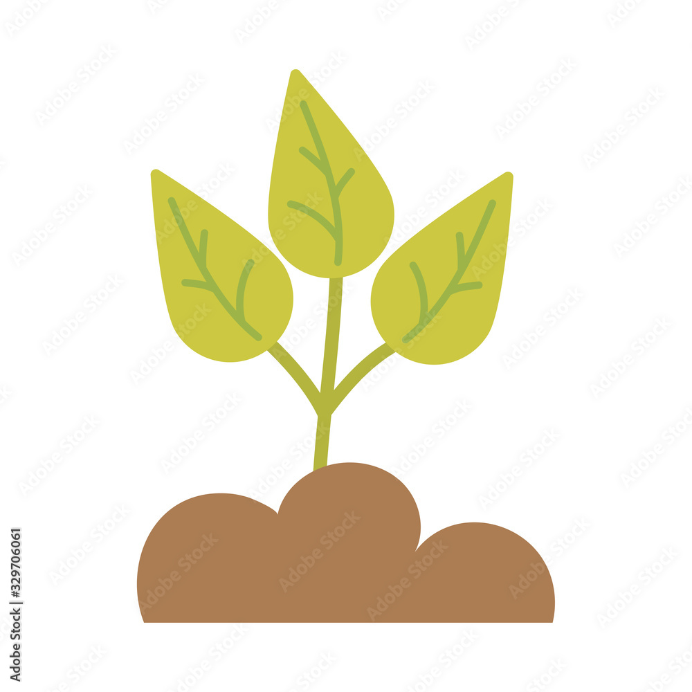 green leaves on white background green leaves on white background