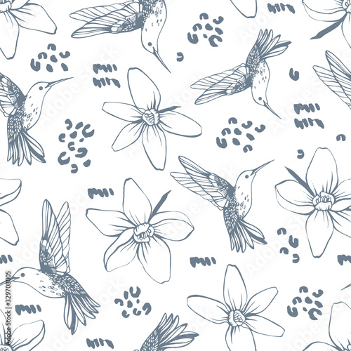 Vector seamless pattern with colibri.