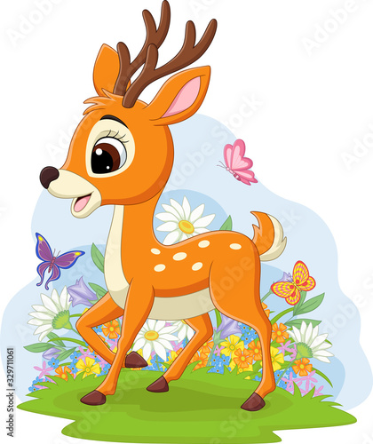 Cute baby deer in the grass