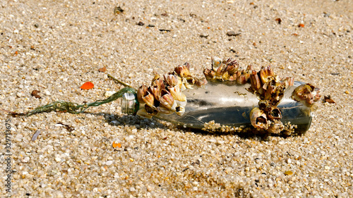 Barnacle covered bottle. photo