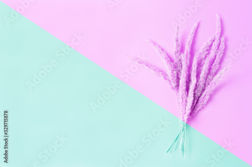 bouquet of wild herbs. tinted in pink and turquoise. top view  space for text