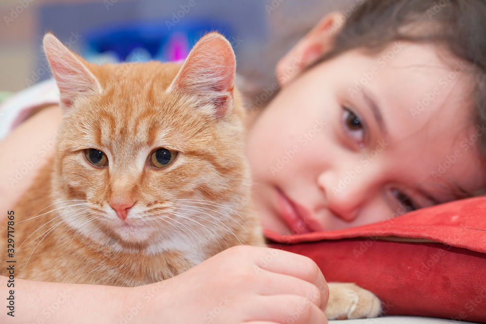 A girl of European appearance hugs a cat and smiles. Portrait of a girl with a red cat. Relations between children and pets. A girl of European appearance hugs a cat and smiles. Portrait of a girl with a red cat. Relations between children and pets.