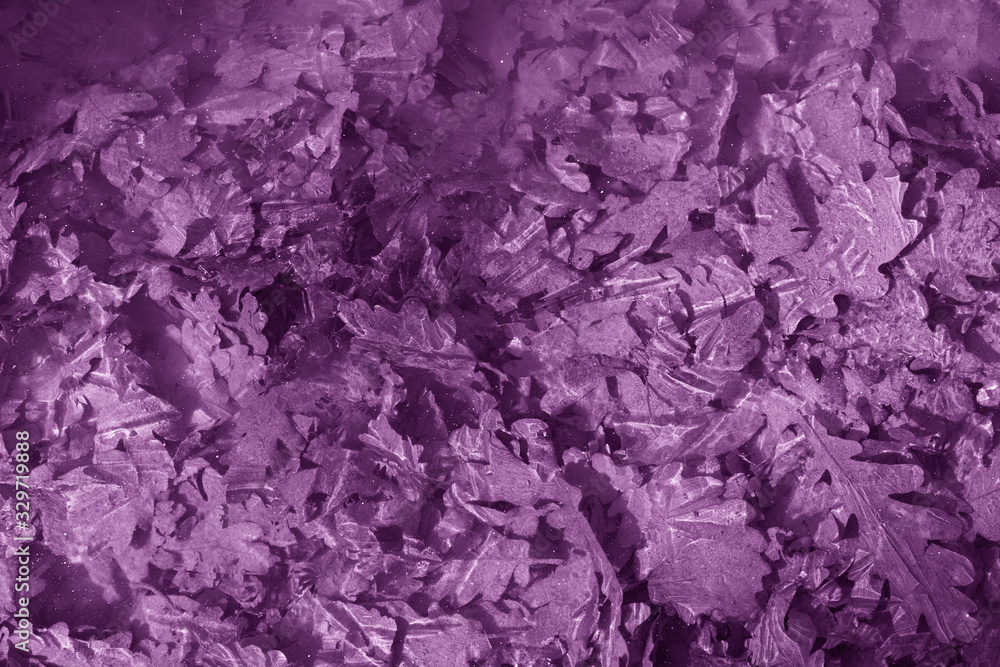 Abstract background. Image of frozen oak leaves under the ice. Abstract background. Image of frozen oak leaves under the ice.